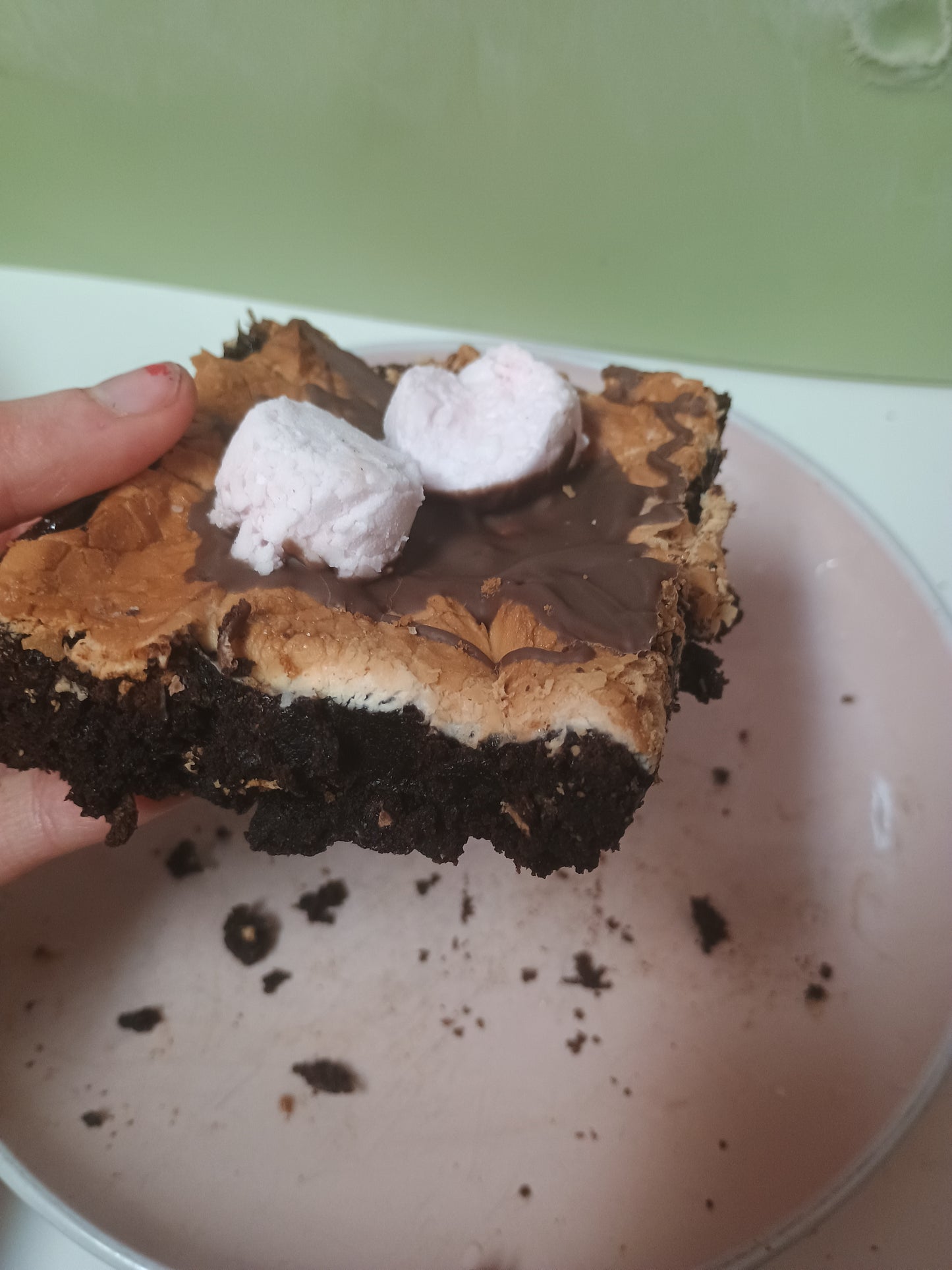 Fudgey Brownies / Blondies